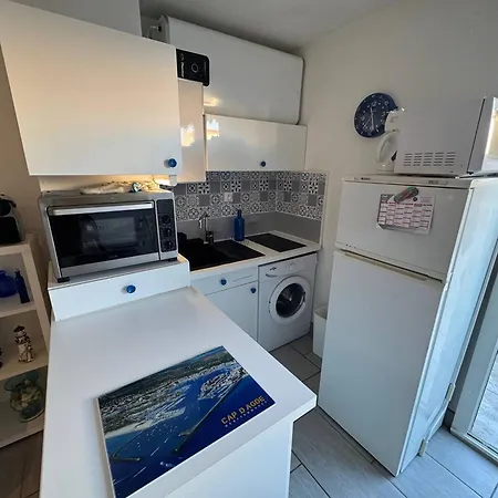Lägenhet T2 Avec Parking Et Animaux Admis, Capacite 4, Cap D'agde - Fr-1-749-83 *